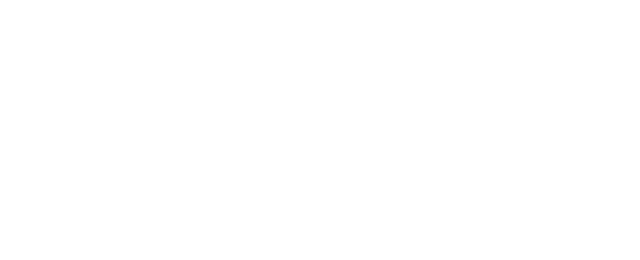 Straci Properties Sagl